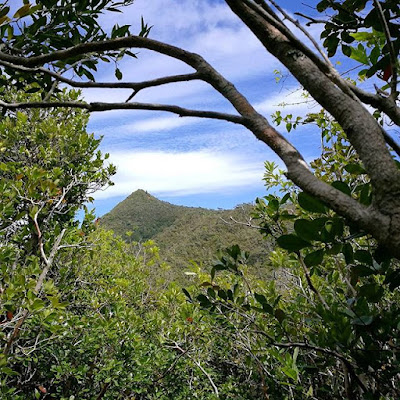 Piton de la Petite Rivière Noire