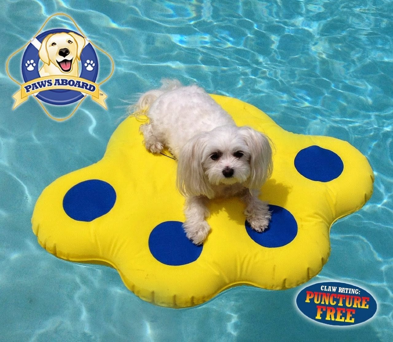 dog pool dog pool floats