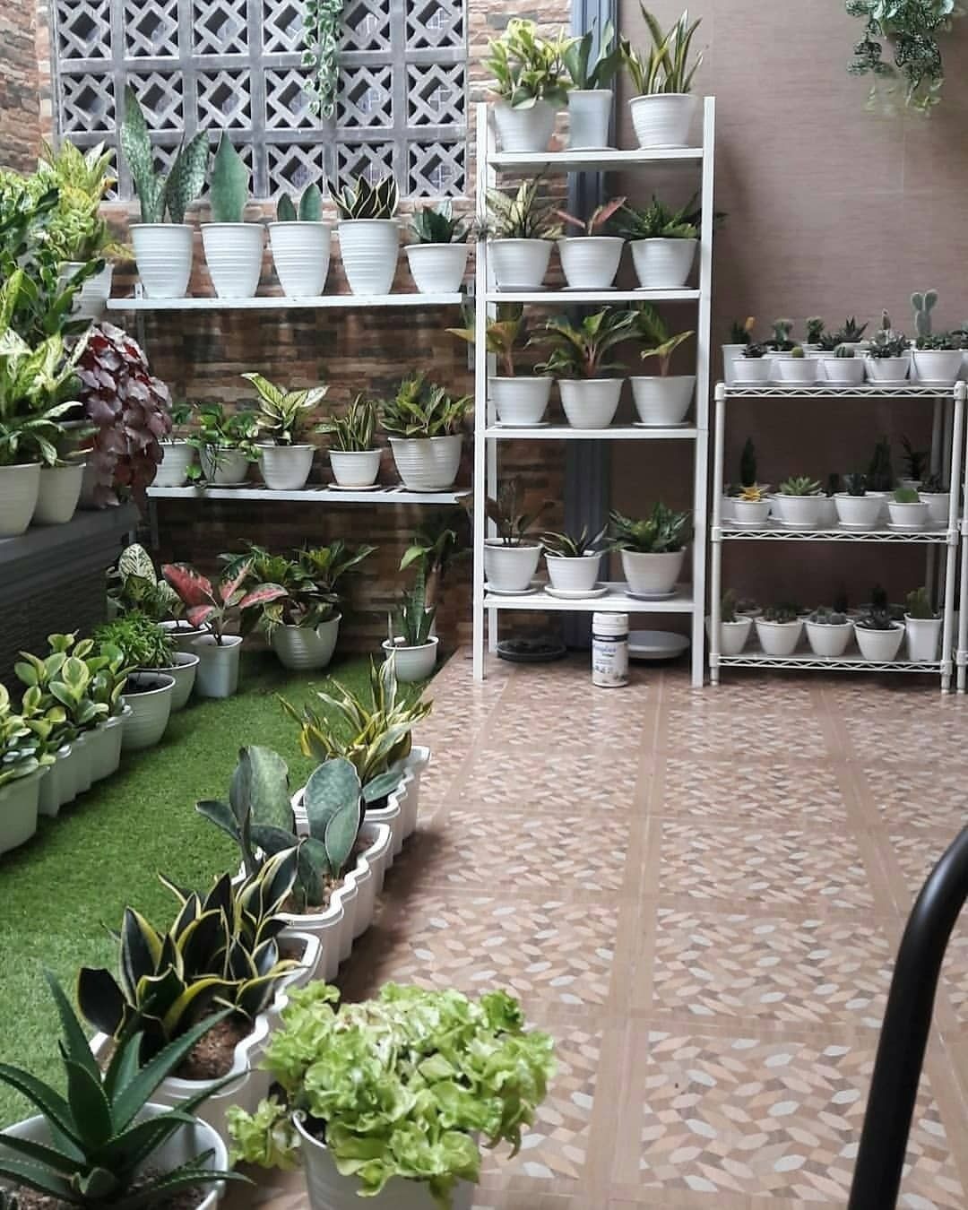 Denah Rumah Panjang Ke Belakang