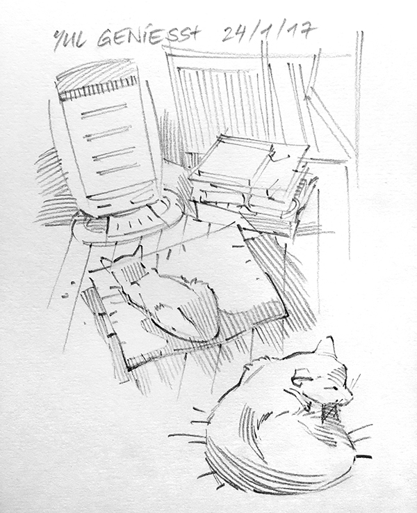 Arzt Fur Allgemeinmedizin Additivfach Dr Med Univ Alois Dengg