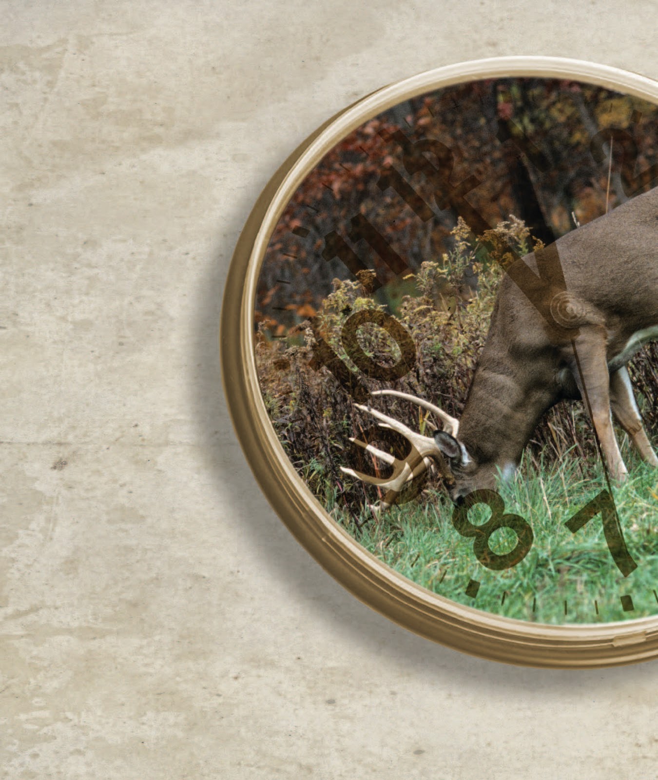 Whitetail Institute: Biological Clock Governs Life and Health of Deer ...