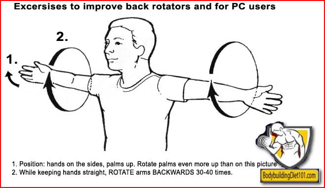 7 Exercises to Build Bigger Arms Without Heavy Weights