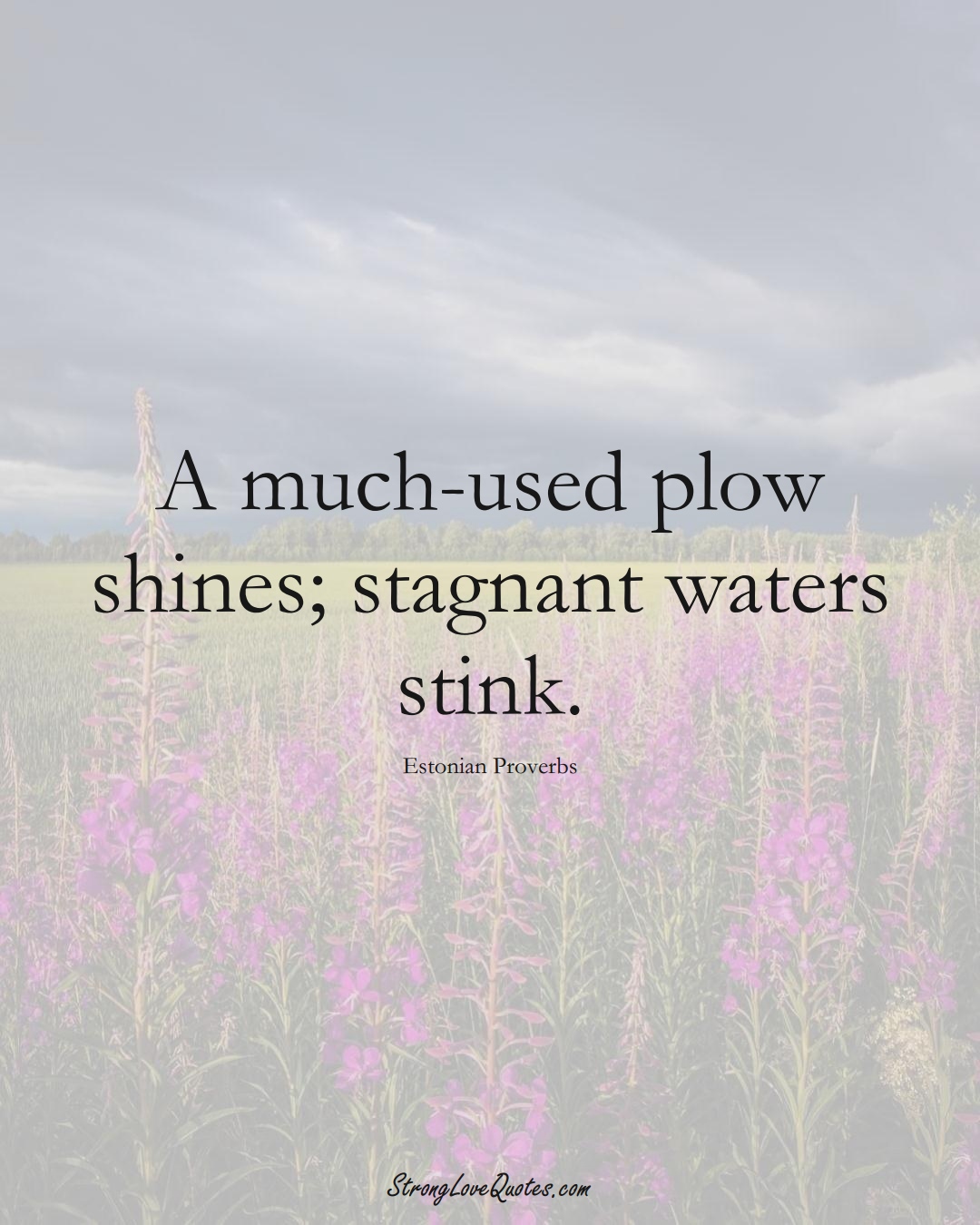 A much-used plow shines; stagnant waters stink. (Estonian Sayings);  #EuropeanSayings