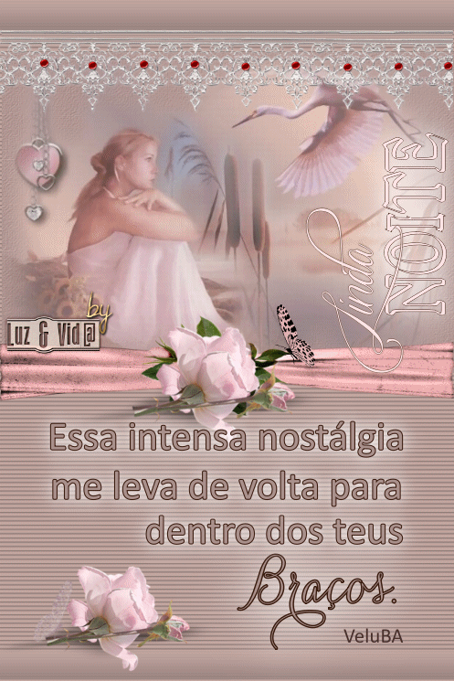 NOVO180-%2528MB%2529maryluz.gif