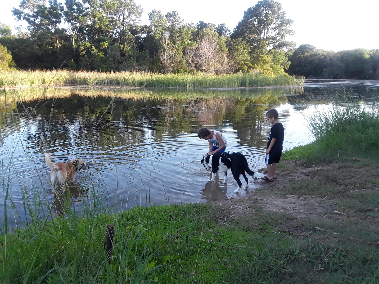 Running K R Ranch 2019