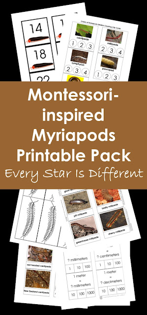 Montessori-inspired Myriapods Printable Pack