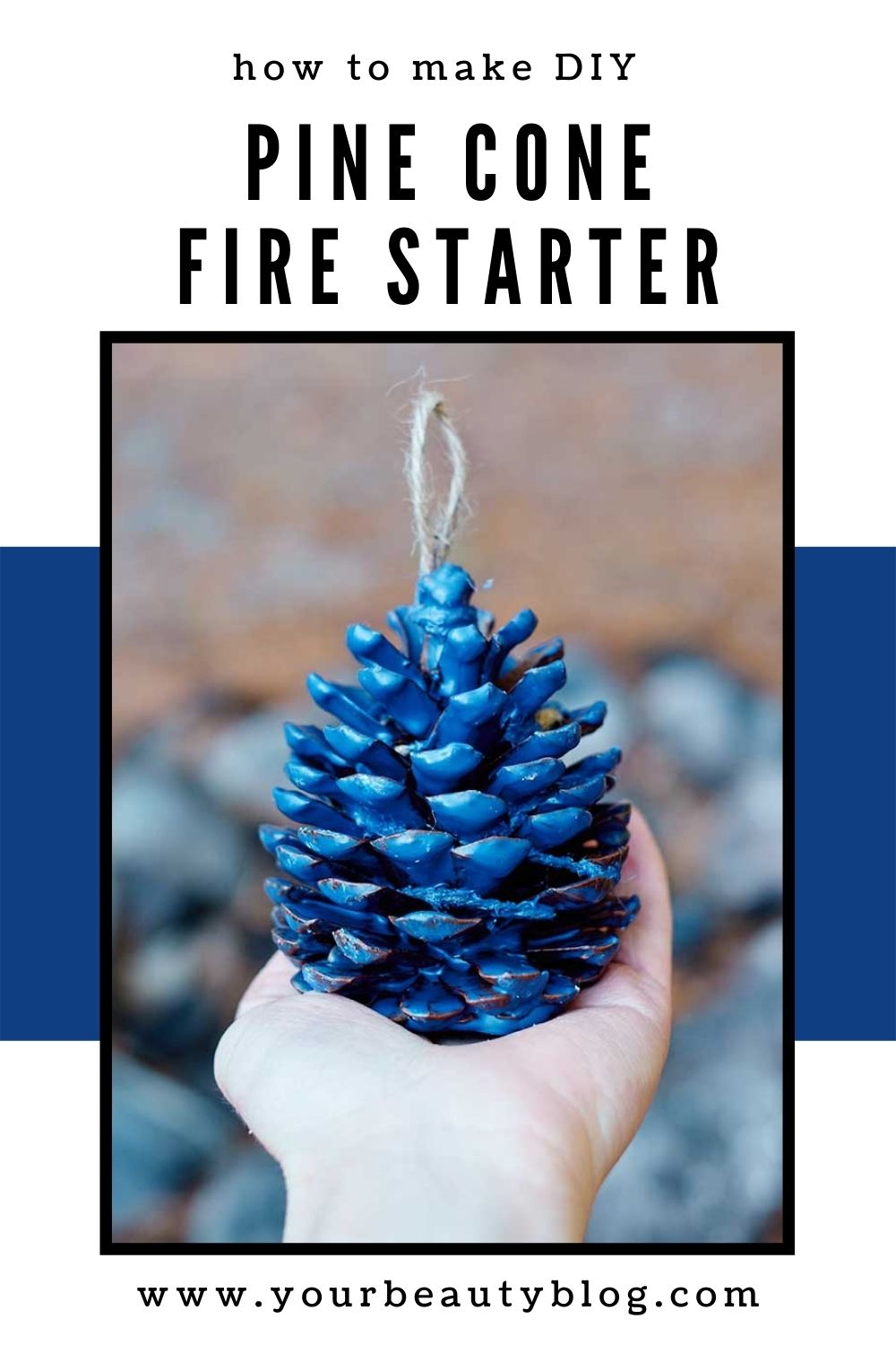 How to Make DIY Pine Cone Fire Starters Everything Pretty