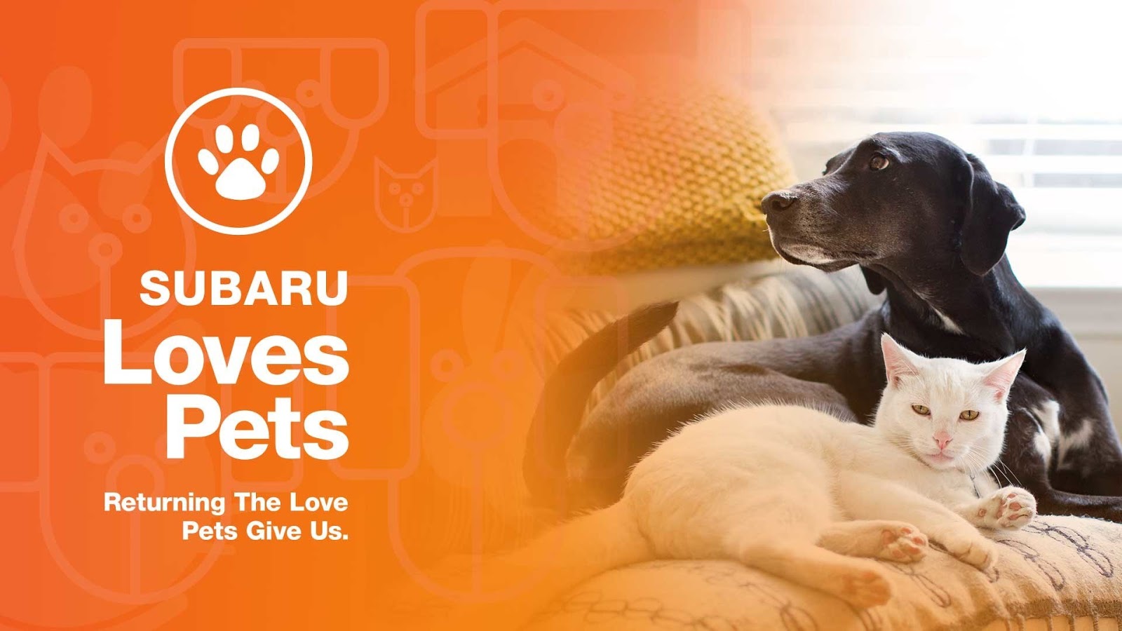 Subaru of America Helps Animals in Need During October "Subaru Loves