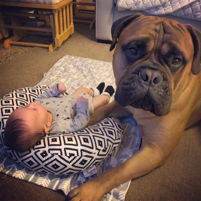 Bébé n