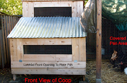 coop chicken ventilation elevated winter opening legs shows mistakes