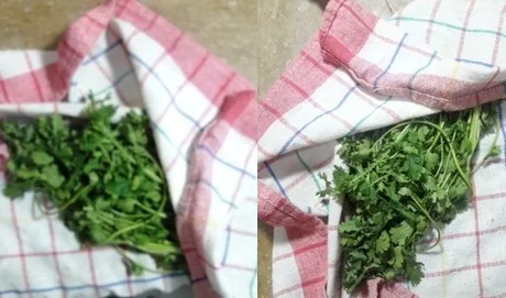 clean-and-rinse-the-coriander-leaves