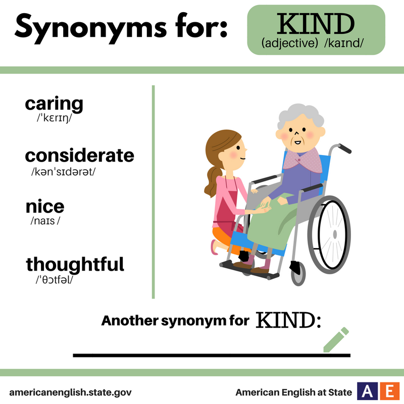 Learn English / F. Synonyms / 007. Kind