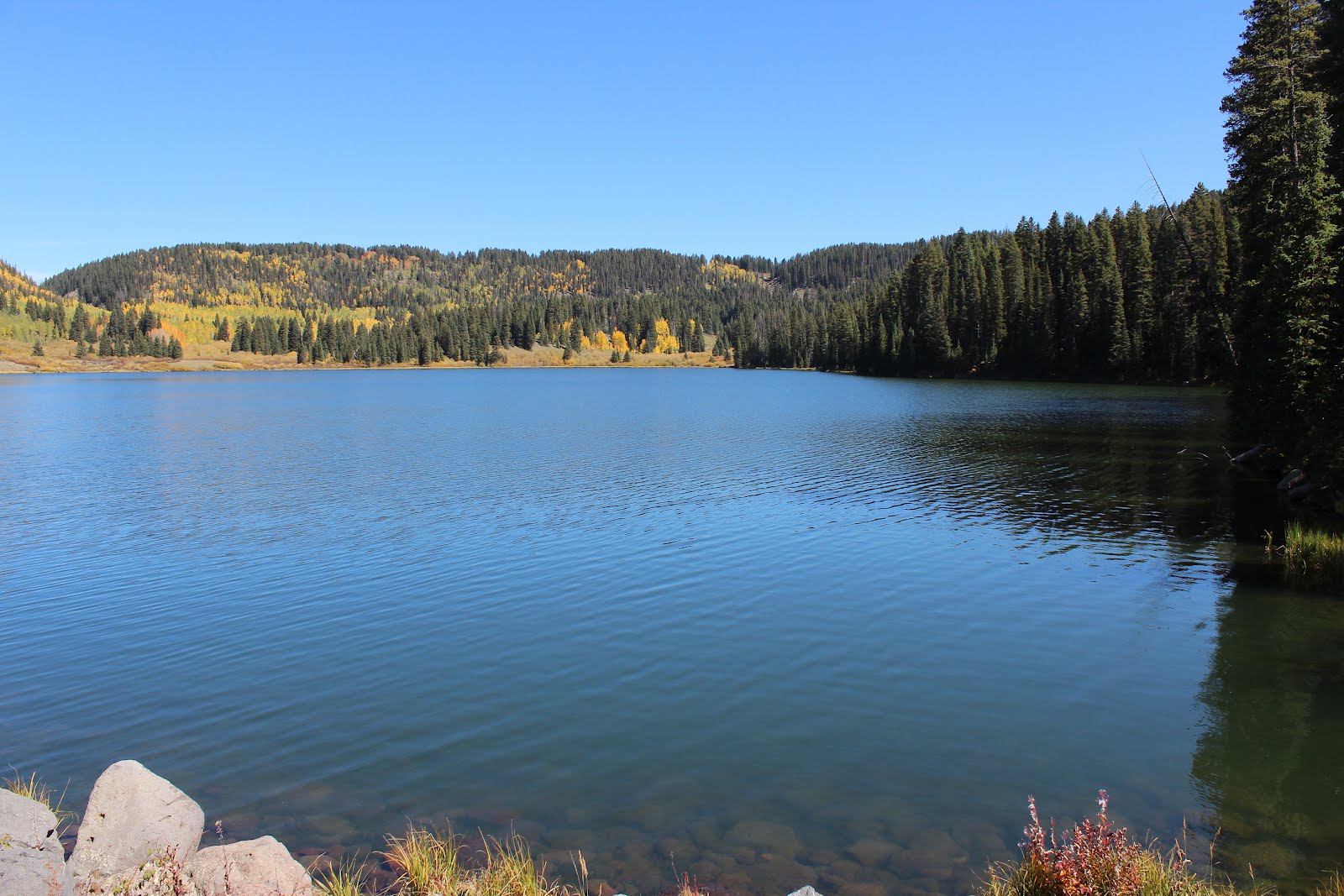 gjhikes.com: Carson Lake