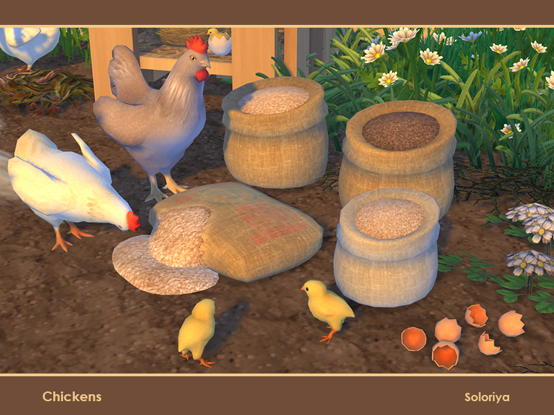 soloriya Chickens. Sims 4