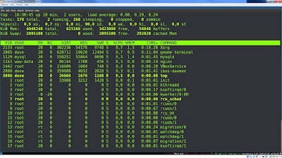 10 Example of lsof commands in UNIX and Linux