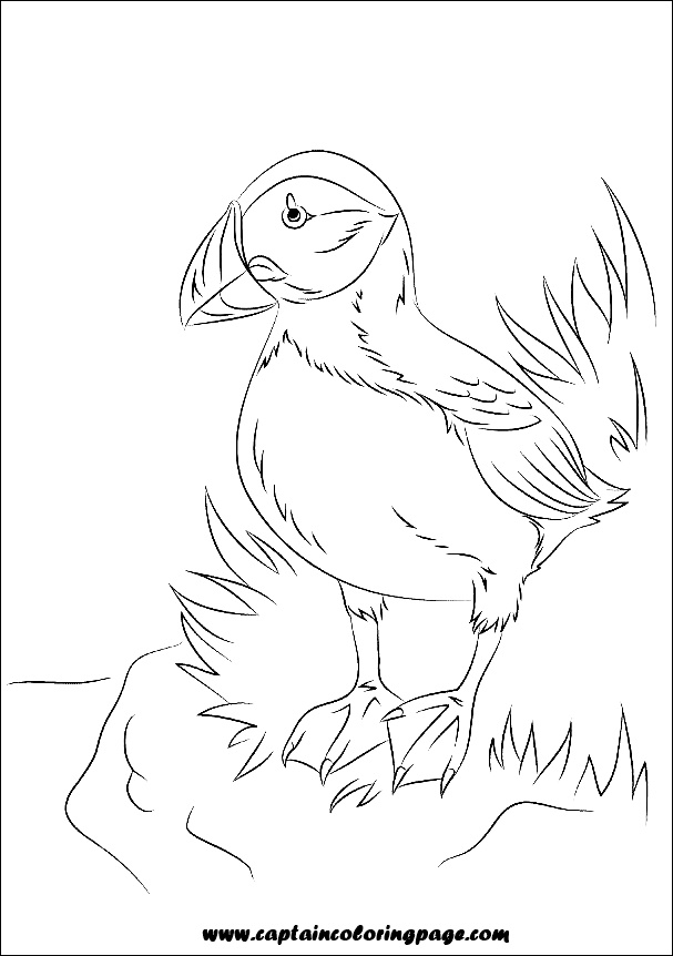 Coloring book pdf download