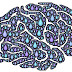 What Happens in The Brain During Depression