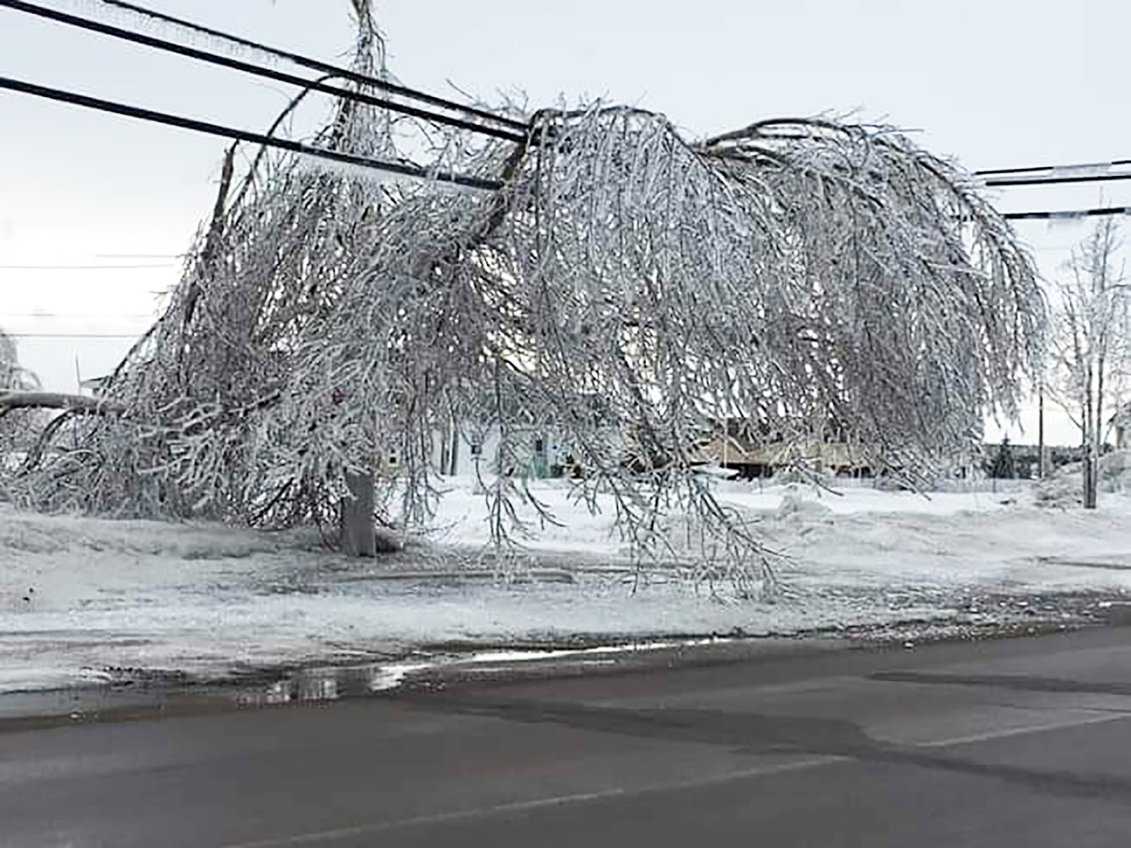 ледяной дождь зимой. ледяной дождь в москве 25 декабря 2010. при гололеде с обледенелых конструкций. обледенение линий электропередач. гололед на проводах лэп.