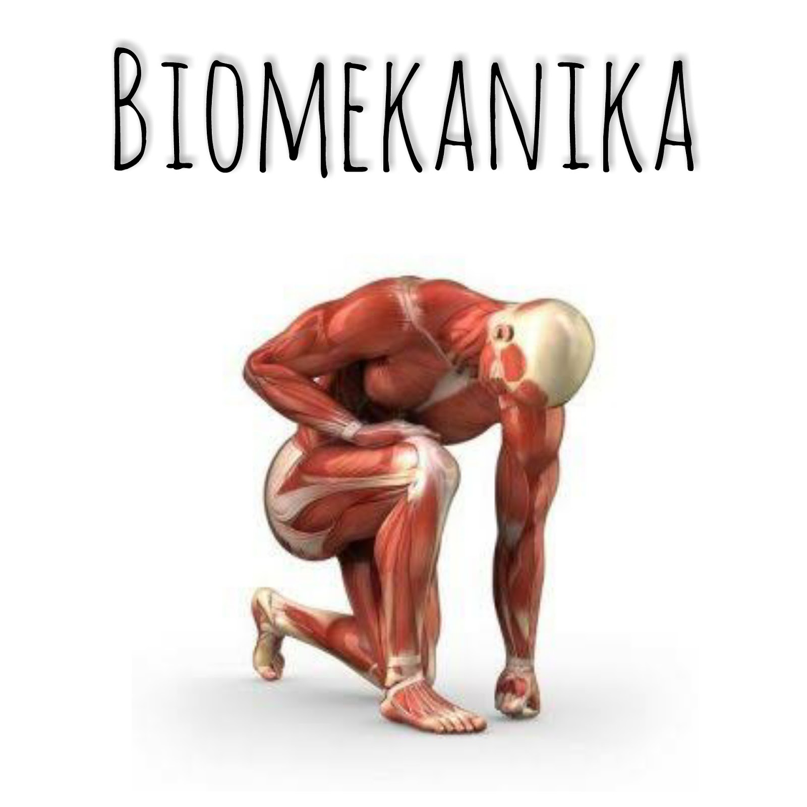 Biomekanika: Kuak Rahasia Gerak, Gaya, dan Struktur Organisme