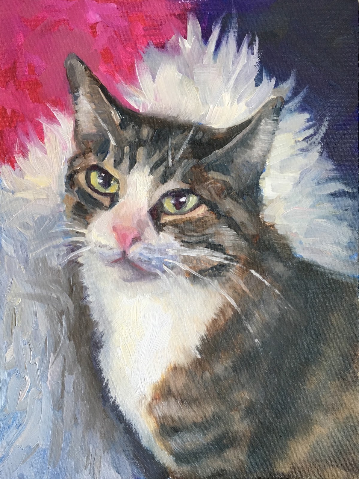 Pet Portraits Canada Oil Painting of Cat Time Lapse Alla Prima Colour