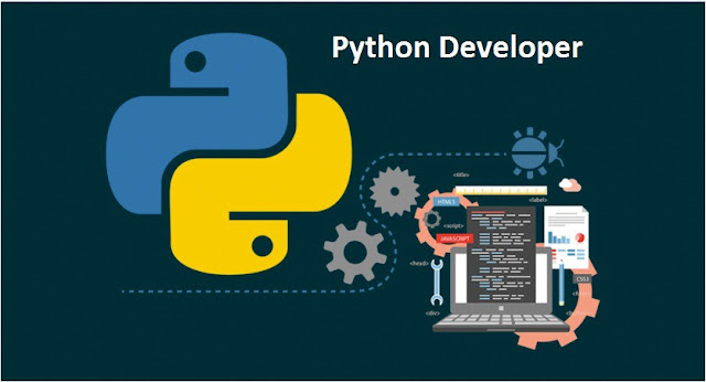 Python developer