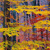 Fall Foliage, Laurentian Mountains, Quebec