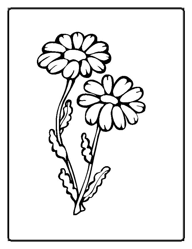 Flower Coloring Pages - Flower Coloring Page