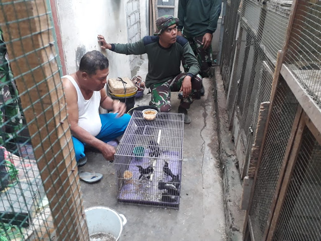 TNI akan Dorong Pengembangan Penangkaran Burung Jalak Desa Jimbung