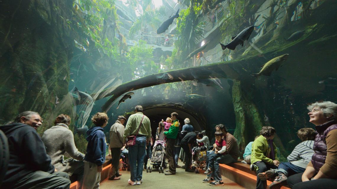 Top 10 Biggest Aquarium in the USA