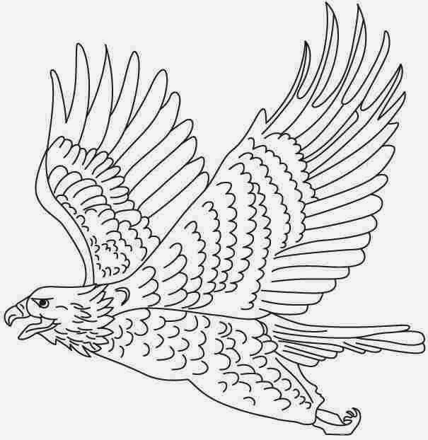 eagle cartoon coloring pages - photo #18