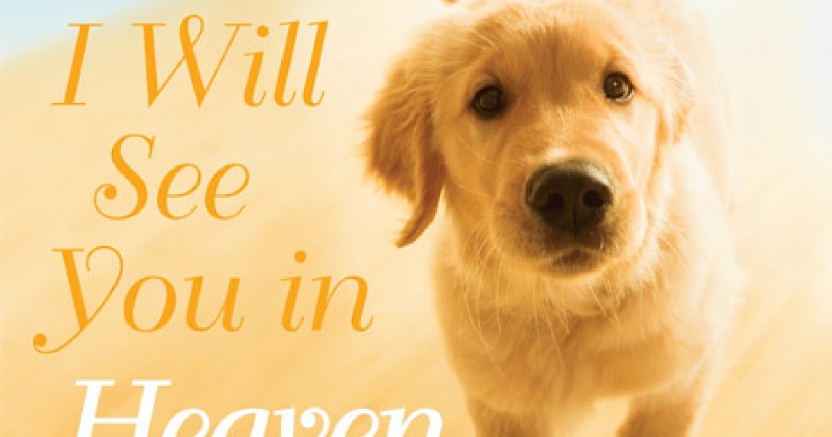 End of the Age. Bible Prophecy WILL MY PET BE IN HEAVEN PASTOR? Video