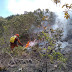 Maior parte dos municípios atingidos por incêndios florestais fica na Chapada Diamantina e no oeste da Bahia