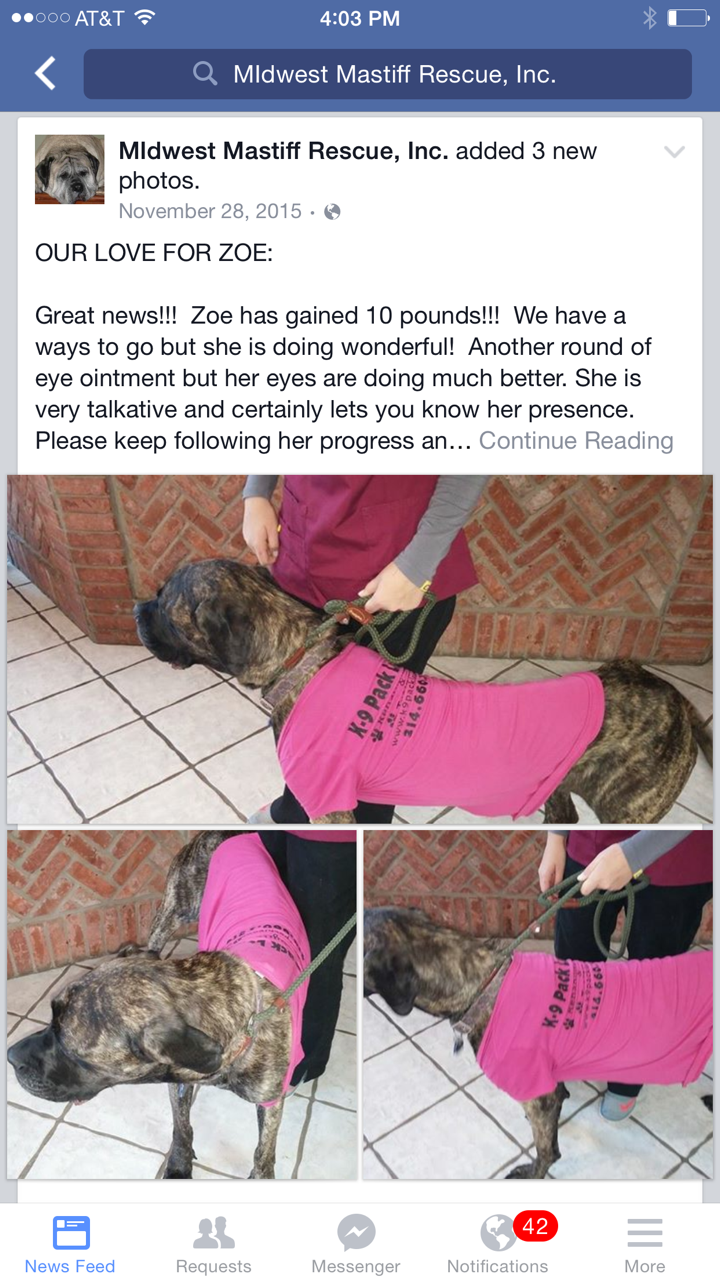 Giving My Dog Away Was The Worst Decision Of My Life