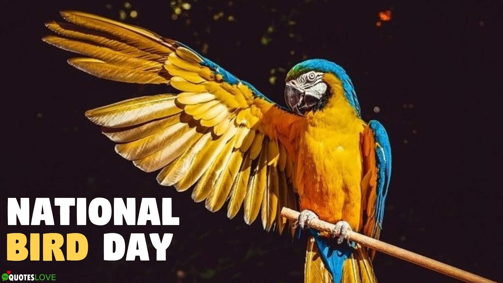 National-Bird-Day-Quotes-Wishes-Status-Messages-Images.jpg