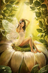fairy wallpapers backgrounds fantasy iphone fairies ipod artwork pretty phone faries fairys angels faerie mythical hadas fairie elf butterfly magic