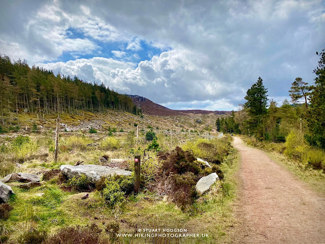 Simonside hills walk Northumberland near Rothbury best route map family car parking Dove Crag