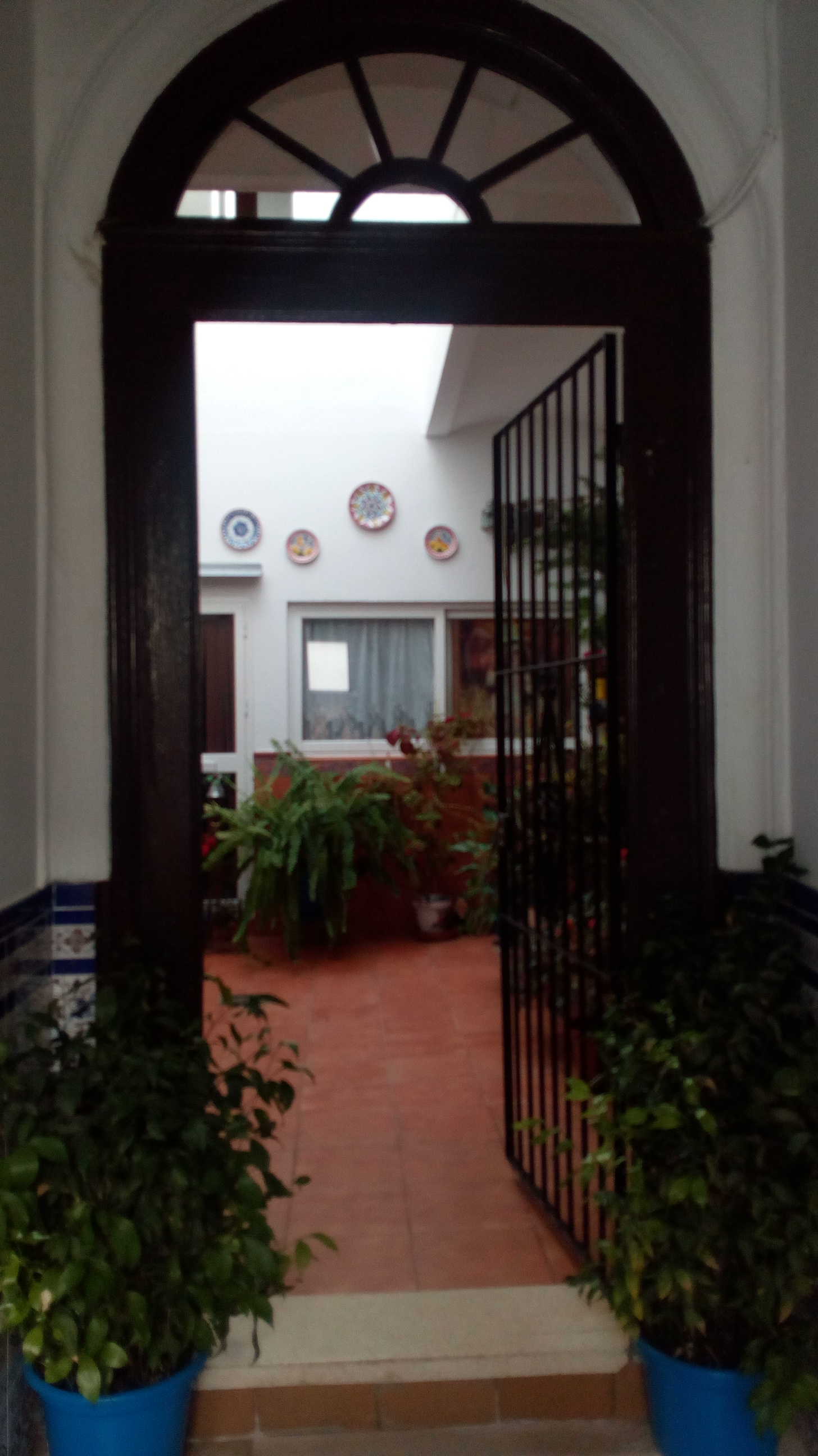 Abre tu patio a la red. Patios