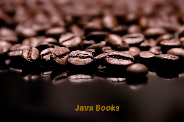 Best Core Java Books