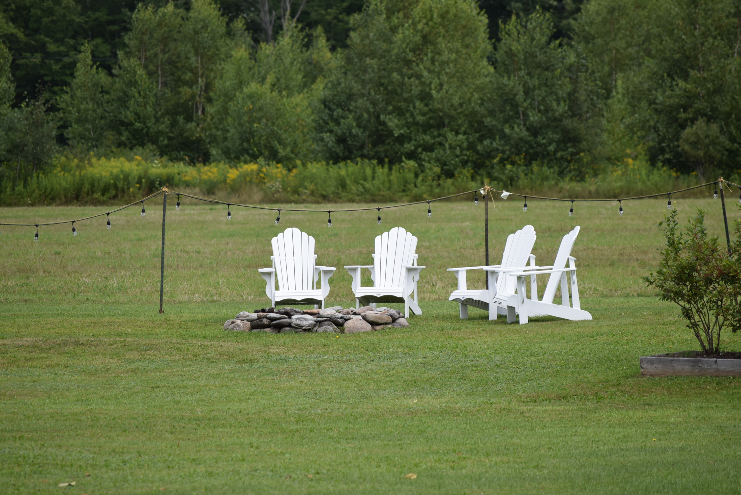 Jericho, Vermont Photos November 2020