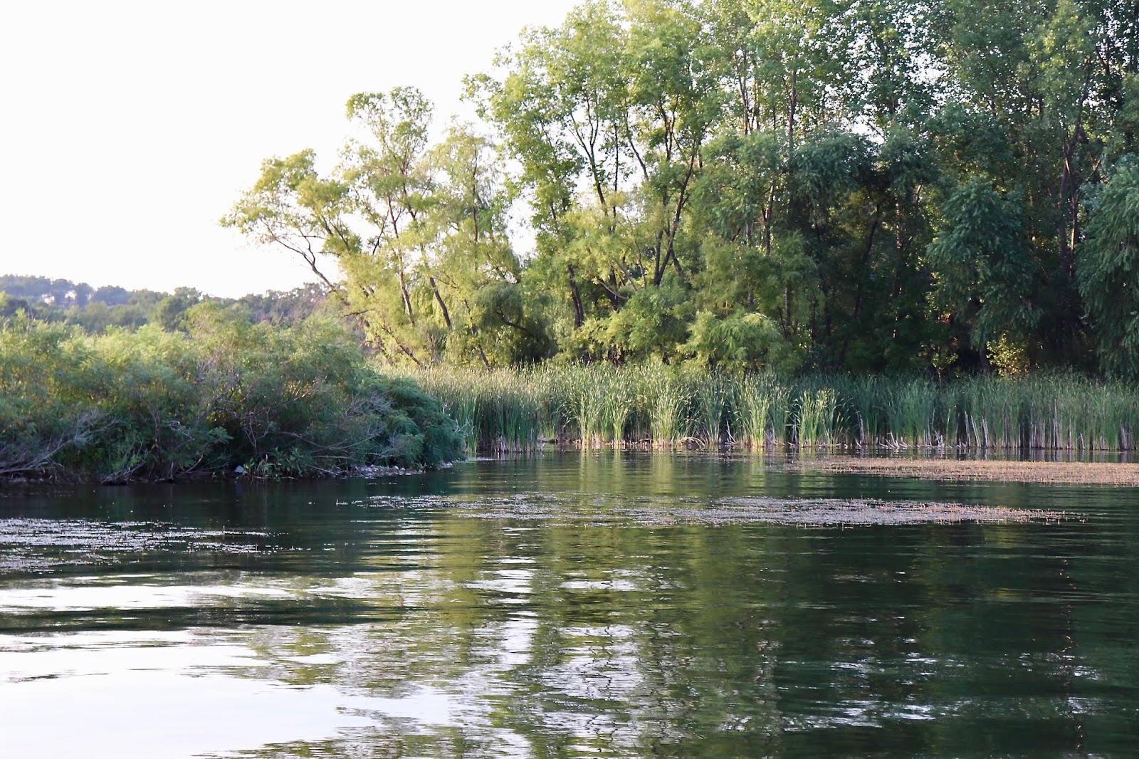 Lake Marion Lakeville, MN Brianne Sieberg