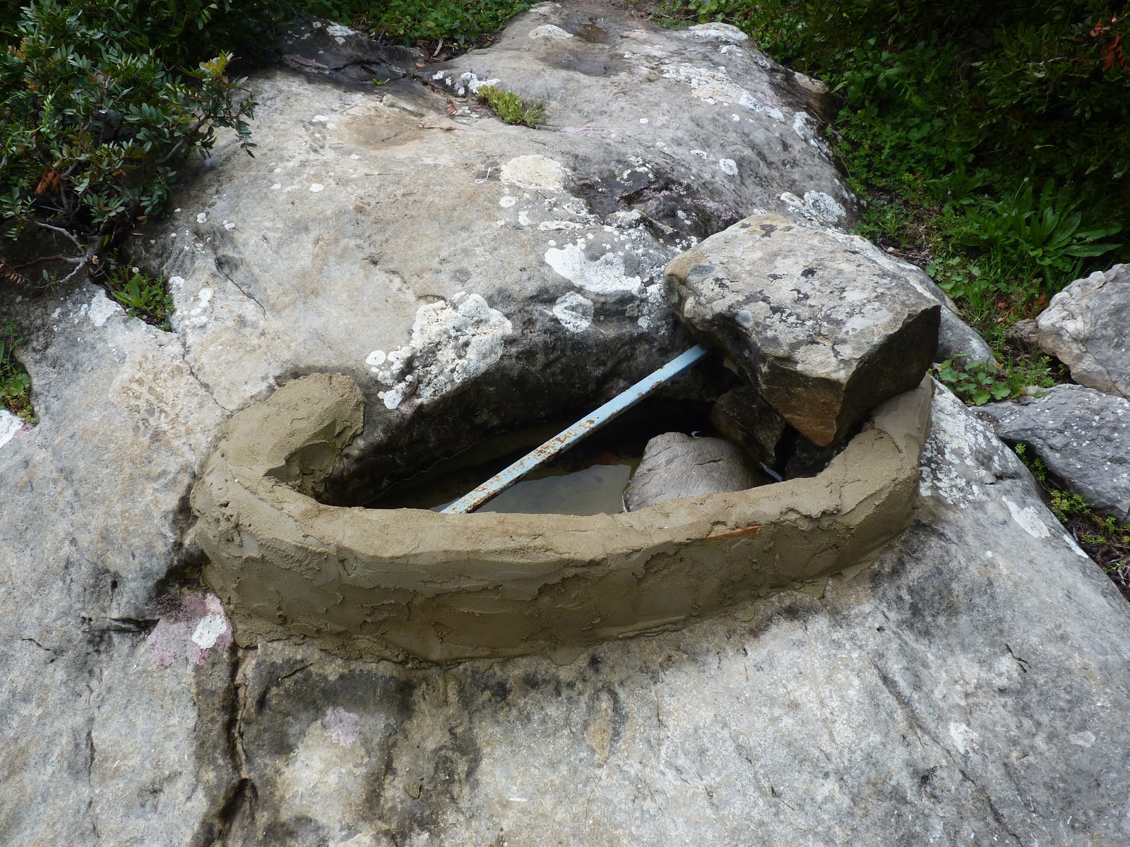 Ubrique en verde: Vamos a desamueblar la Sierra