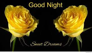 good night good night