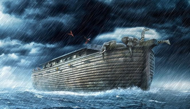 Ternyata Ini Awal Mulanya Kenapa Kucing Dan Anjing Gak Akur Lakeybanget Com Simpatik Menarik Tenang Menghanyutkan