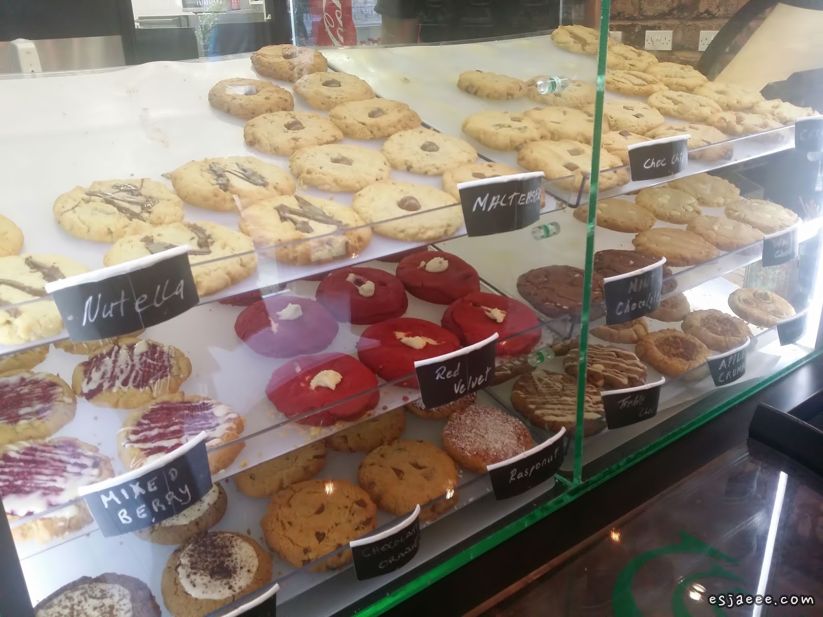 Esjaeee ESurient Celtic Cookie Company, Dublin