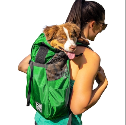 designer pet carriers designer pet carriers