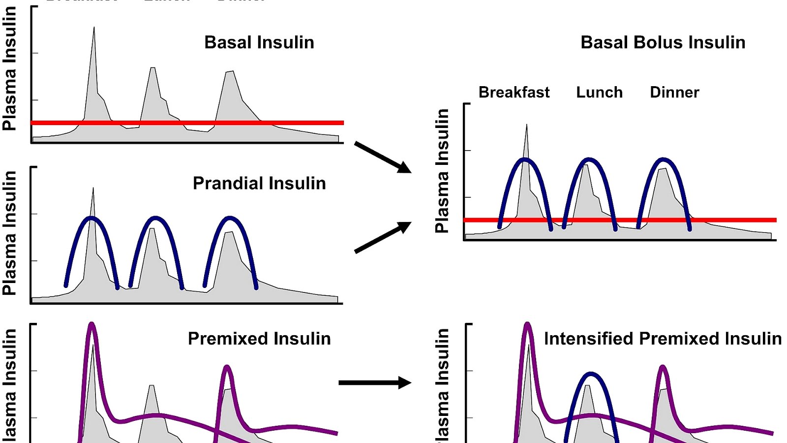 Bolus Insulin Definition Insulin Choices