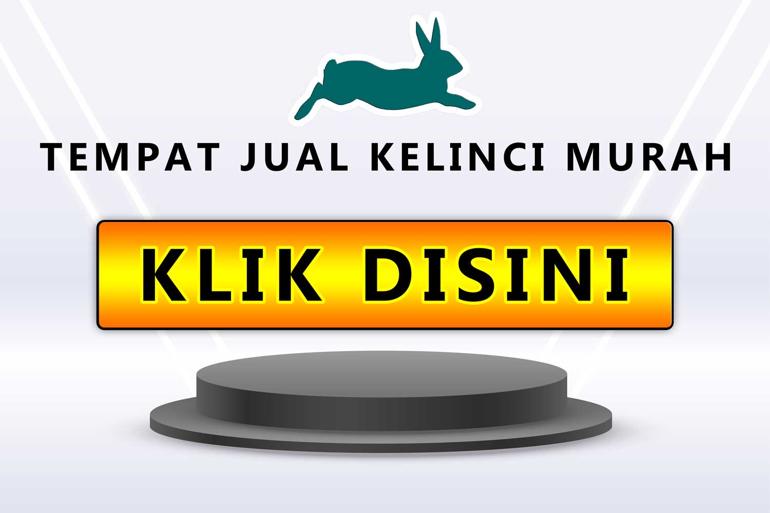 jual kelinci murah di cikarang rabbit bekasi