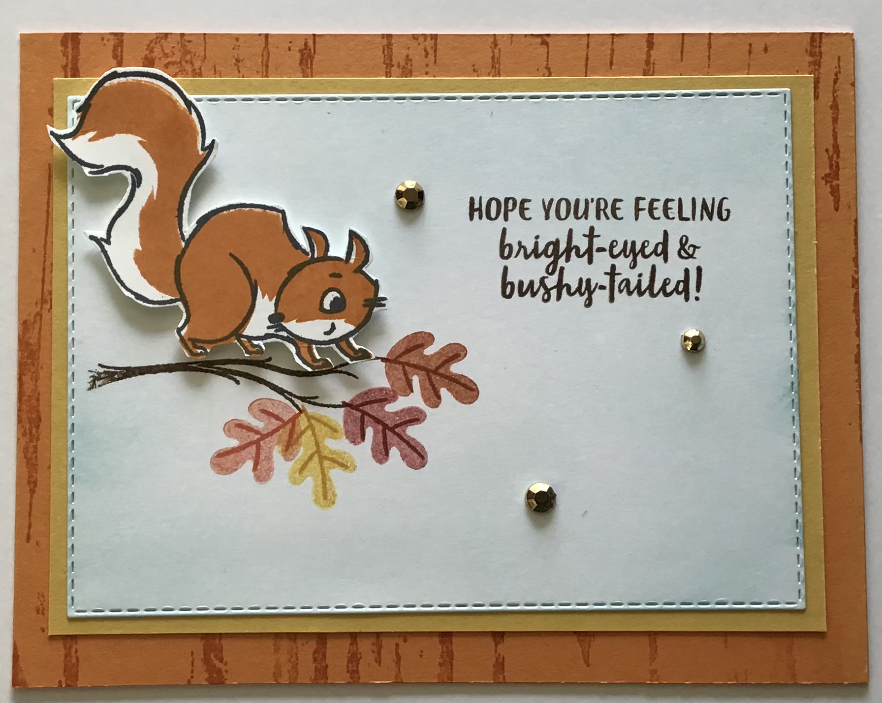 Greatinkspirations SQUIRRELS JUST WANT TO HAVE FUN QUICK & EASY CARDS MADE WITH NUTS ABOUT