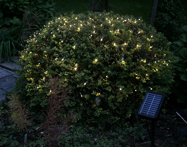 led christmas tree lights led christmas tree lights