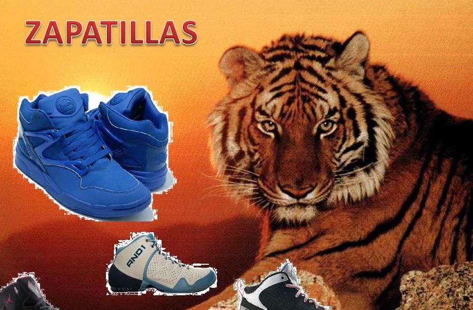 basketballtigress ZAPATILLAS PARA JUGAR BALONCESTO